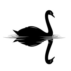 Black swan silhouette floating on water with reflection