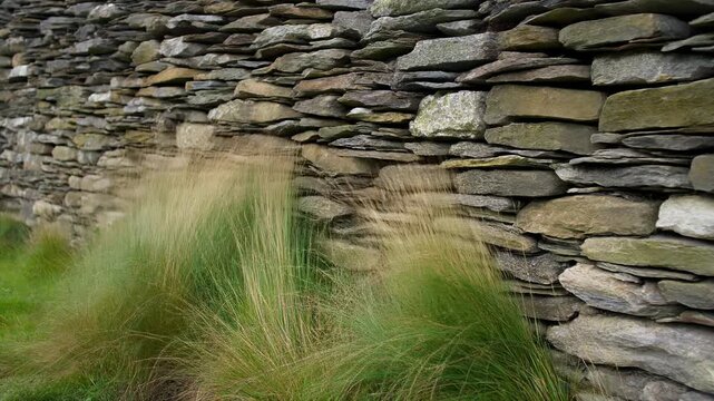 Dry stone wall with tall grass in foreground.