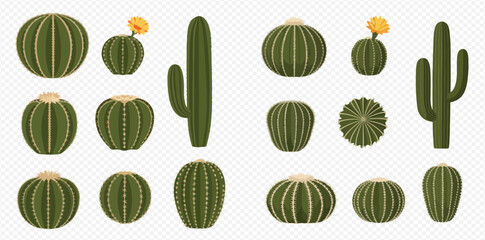 Collection of various green cactus plants with and without flowers, isolated on transparent background.