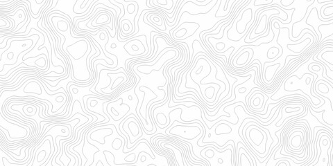 Obraz premium Minimal area white line geometric grid topo map outline. paper curve counter map and wavy topography. relief discovery area white, black line texture background.
