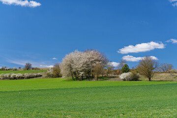 Landschaft im NSG  Sodenberg in der Vorderrhön bei Hammelburg, Landkreis  Bad Kissingen, Unterfranken, Franken, Bayern, Deutschland