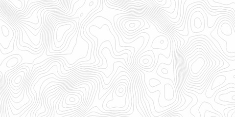 Fototapeta premium White topography topology vector white background fresh contour map texture. white seamless pattern Abstract background with a wave Topography and geography map grid abstract backdrop.