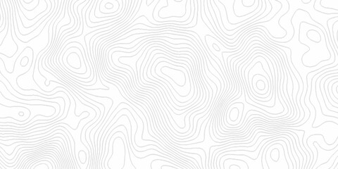 White topography topology vector white background fresh contour map texture. white seamless pattern Abstract background with a wave Topography and geography map grid abstract backdrop.