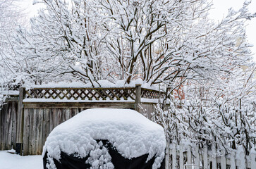 Heavy snowfall covering bare tree branches, wooden fencing, and a covered barbecue with a on a winter day.