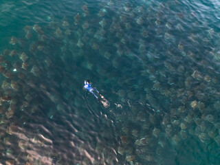 Aerial view of a swimmer surrounded by a dark swarm of mobula rays gliding through the turquoise waters, creating an astonishing marine spectacle, La Paz, Baja California Sur, Mexico.