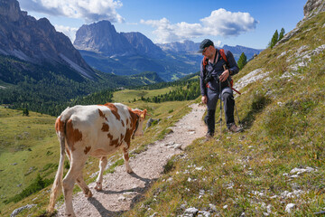 Puez Odle national park in the Dolomites © Kaspars