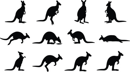 Australian Kangaroo Silhouette Vector Set, Isolated Collection of Black Marsupial Animal Poses for Design, Nature, Wildlife, and Zoo Graphics, Flat 2D CAD Drawing