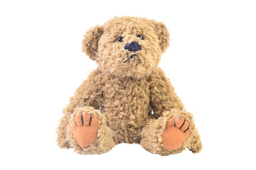 Teddy bear isolated on white