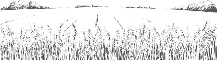 Black and white style wheat field with distant mountains © Asha