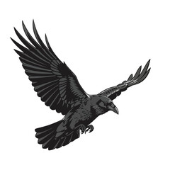 Mysterious Black Raven Bird in Flight - Detailed Vector Illustration for Design