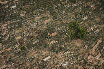 Aerial view of rectangular plots of land, some filled with crops, create a patterned tapestry, punctuated by a small cluster of trees, Kano, Kano, Nigeria.