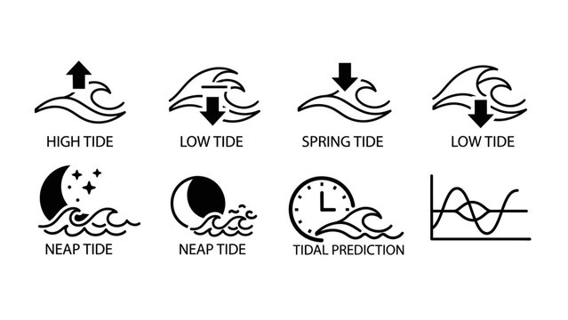 Tidal wave cycle diagram high and low tides spring tides and predictions