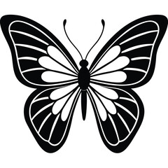 vector illustration of an butterfly outline