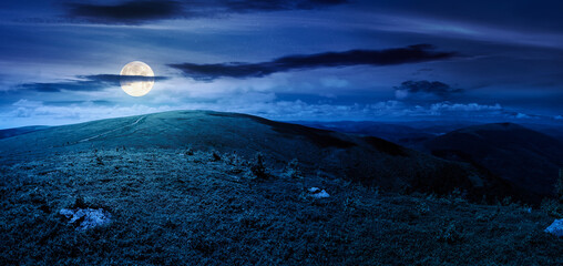 panoramic view of alpine meadows on the mountain top at night. beautiful summer landscape with hills in full moon light. concept for outdoor adventure. background for fake news or conspiracy theory