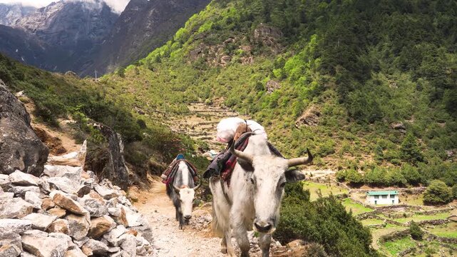 Cinematic Camera Footage of Lukla &ndash; Culture, Mountain Life, and the World&rsquo;s Most Dangerous Airport