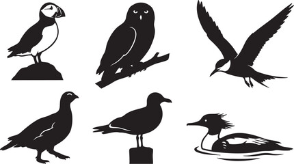 Black silhouette illustrations of six different birds including puffin owl seagull duck and grouse