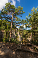 Felsformation Bastei im Nationalpark Sächsische Schweiz, Gemeinde Lohmen, Landkreis Sächsische Schweiz-Osterzgebirge, Sachsen, Deutschland