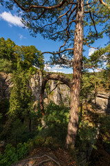 Felsformation Bastei im Nationalpark Sächsische Schweiz, Gemeinde Lohmen, Landkreis Sächsische Schweiz-Osterzgebirge, Sachsen, Deutschland