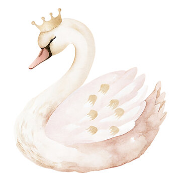 Elegant watercolor swan princess illustration with soft pastel feathers and delicate golden crown details