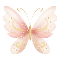 Delicate watercolor butterfly illustration with blush pink wings and elegant golden decorative accents and details