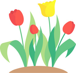Obraz premium Colorful tulips blooming in a spring garden