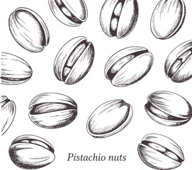 Fototapeta premium Hand drawn black and white pistachio nuts detailed