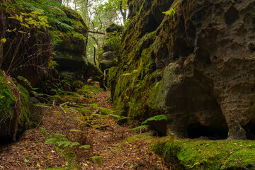 Felsgebilde Teichwächter bei dem Ort Leupoldishain, Stadt Königstein an der Elbe, Sächsische Schweiz, Landkreis Sächsische Schweiz-Osterzgebirge, Sachsen, Deutschland