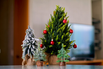 Modern appartment with 4 tiny christmas trees.