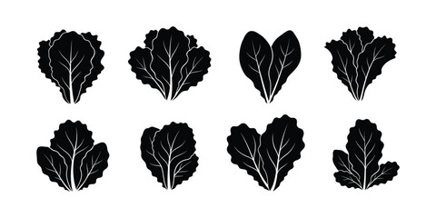Collection of Various Leafy Green Vegetable Silhouettes on White Background
