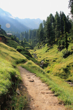 View of a dirt path winding through a lush green valley, framed by towering pine trees and distant mountains, Neelum Valley, Azad Kashmir, Pakistan.