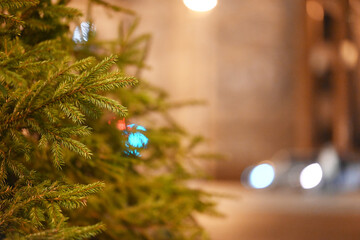Fir branch  close up on city landscape background by night. Front focus