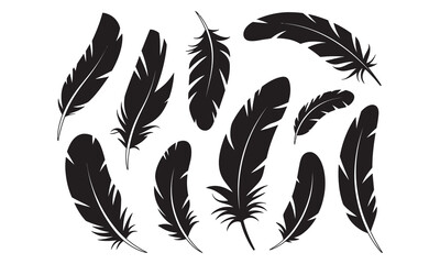 Obraz premium Stunning collection of elegant black bird feathers showcasing delicate natural texture and graceful shapes