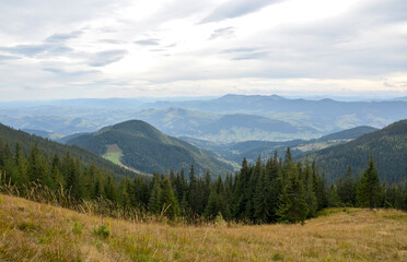 Fototapeta premium Vast mountain valley with pine forests, rolling hills, and distant towns beneath soft, cloudy sky. A serene outdoor scene ideal for nature, travel, and lifestyle visuals. Carpathian Mountains, Ukraine