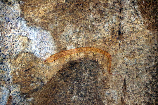peintures de Bochimans, Spitzkoppe, Namibie