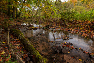 Naturschutzgebiet Hafenlohrtal im Naturpark Spessart, Landkreis Aschaffenburg und Main-Spessart, Unterfranken, Franken, Bayern, Deutschland