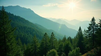 Fototapeta premium Beautiful forest background. Green mountain with pine trees and sunlight in sky 