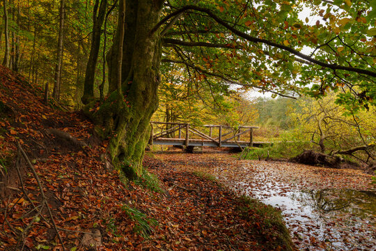 Naturschutzgebiet Hafenlohrtal im Naturpark Spessart, Landkreis Aschaffenburg und Main-Spessart, Unterfranken, Franken, Bayern, Deutschland