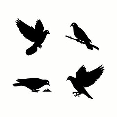 Fototapeta premium Black silhouettes of doves and pigeons in various poses, including flying, perching on a branch, and feeding on the ground, isolated on white.