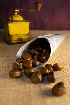 Autumn Chestnuts cone
