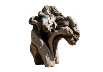 A weathered and gnarled piece of driftwood, isolated on transparent background