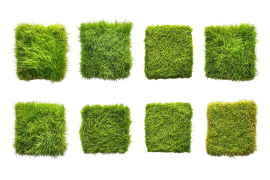 Collection of green grass textures on white background