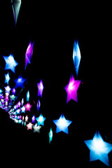 Christmas & Winter Lights