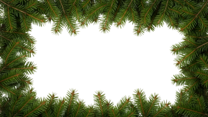 Dark forest opening frame with lush green foliage isolated on transparent background