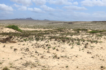The barren landscape in the north of boa vista, Cape Verde, Africa