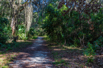 Jekyll Island along the Atlantic Coast of Georgia, United States