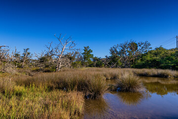 Jekyll Island along the Atlantic Coast of Georgia, United States
