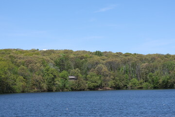 House across the Lake #1