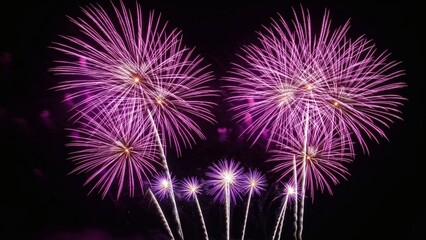 Fototapeta premium Spectacular purple fireworks illuminating the black sky during a festive night celebration