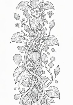Surreal Botanical Coloring Sheet Organic Patterns Nature Hand drawn [Subject] illustration with flowing organic swirls. Abstract decorative line art design on white background