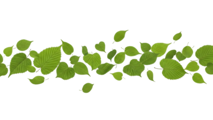 Fresh green leaves falling pattern isolated on transparent background